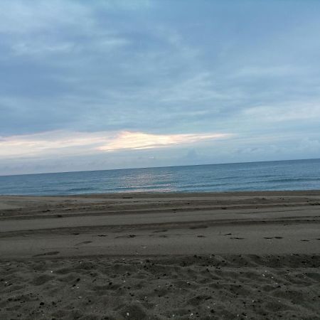 Ivet Guest House Obzor Bagian luar foto